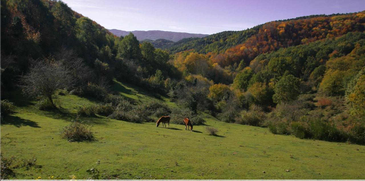 Hotel Restaurante El Ventos Sant Felíu de Pallarols エクステリア 写真